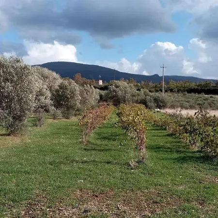 Casa vacanze La Rosa Dei Venti Wind Rose